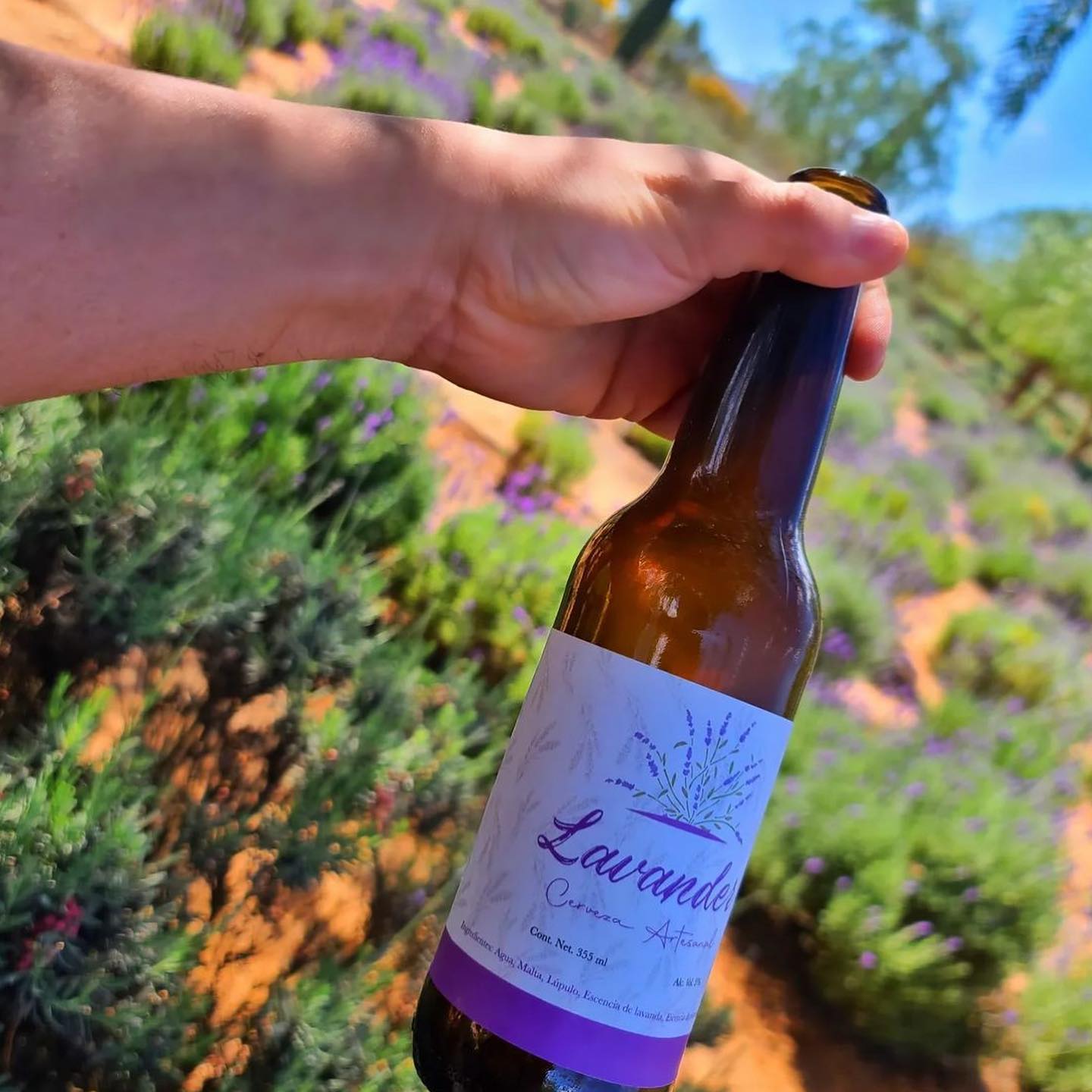 Lavender beer
